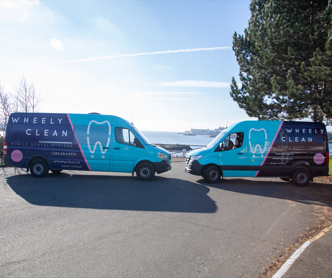 Both Wheely Clean vans parked nose to nose at a Victoria oceanfront lookout